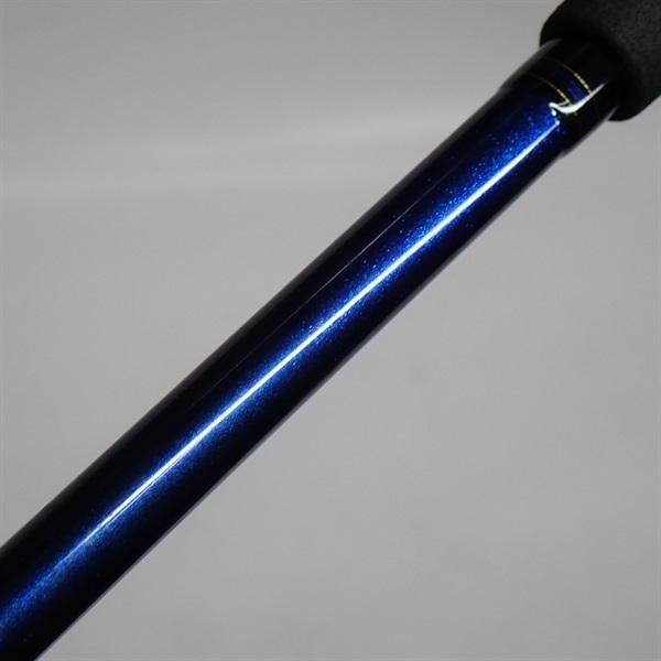 ２１極鋭タチウオテンヤＳＰ７３－１９０ＡＧＳ